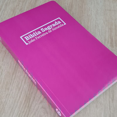 image_55bd2843-942a-444a-9ba0-a0dba627e839