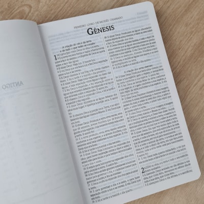 image_d8a9eaa1-d544-4555-bdfc-9ff523e3404f