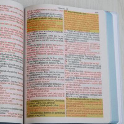 image_913c2266-1722-40d5-a3e6-9f4795f03876