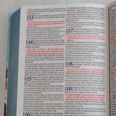 image_fcc746b2-638d-493e-a634-a0abf0fa5d30