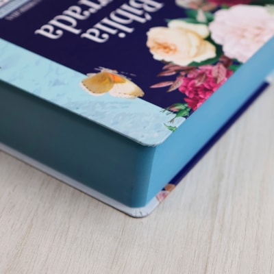 image_c6b62dd0-ca59-40bd-ada0-6e53fecfd02b