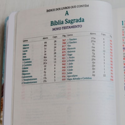 image_cc32129d-7586-4a03-9f60-1353b910c212