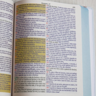 image_1cfb3920-a987-4328-b250-ac41ee78ea79