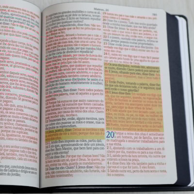 image_8892432a-6525-4911-9e45-6cf50bd84457