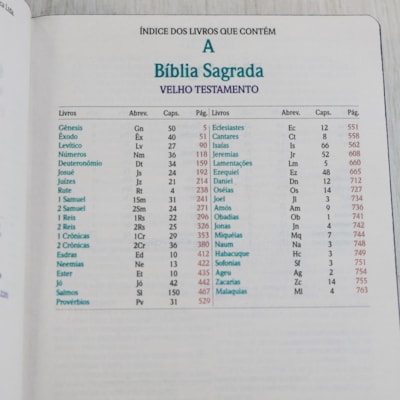 image_1967067e-036a-4a59-8f9f-95b8731fe2b2