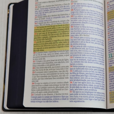 image_6c5feced-4996-4b33-8b14-8c98caa649a2