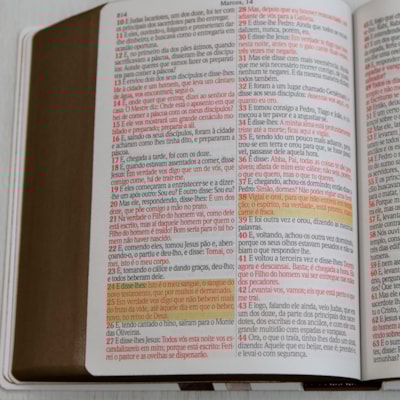 image_c03ca247-b1e1-478f-84f1-f6d3b6406fee