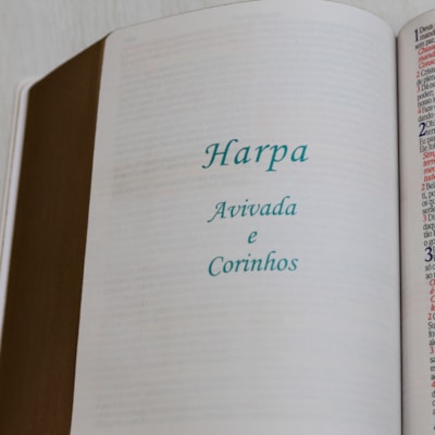 image_e405d911-0381-4489-b8d2-15e5e77658e7