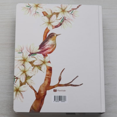 image_69224dc4-461f-4b71-9696-321ee7237df1