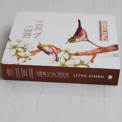 image_ca298d26-3143-450e-926a-4dab2f366e04