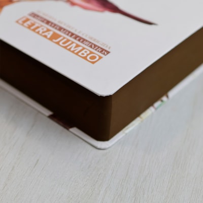 image_a14bf446-5b15-4aa1-b955-c7dff5309ed4