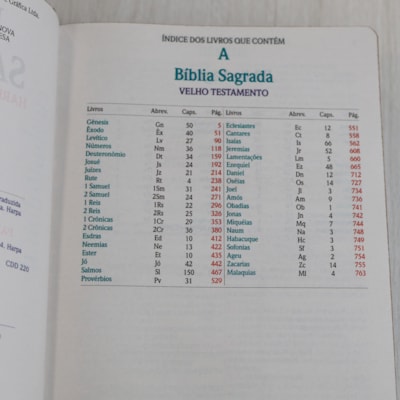 image_923cbdf3-1688-4bbe-bfa3-cb81c05ede2f