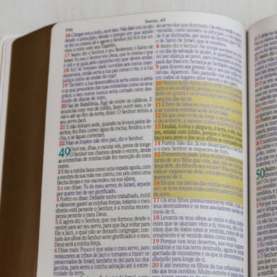 image_6c4e2bac-6466-406a-be9d-d0d6e02ca58f