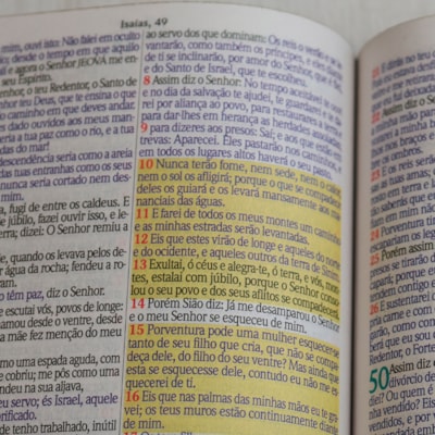 image_4a52543d-78e3-4509-b6de-843acd0a9f14