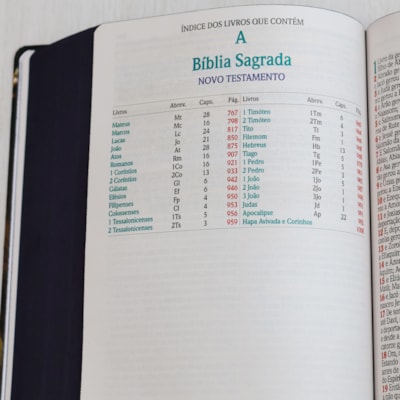 image_439cb227-7b8a-4710-a62a-7e0c5e6b9977