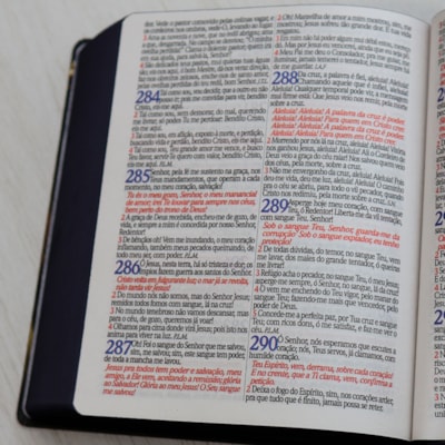 image_7744f4aa-61de-4ad4-a1b0-371b87d63f0b