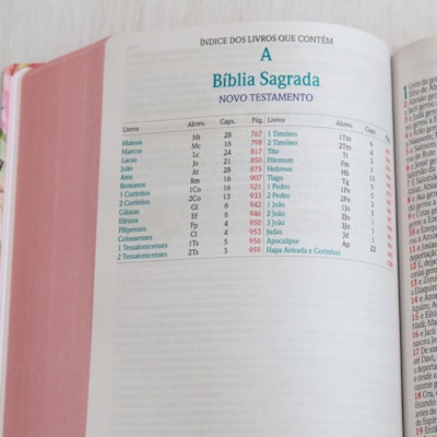 image_e49a9ccc-045d-41bb-8c32-b8544cdc365d