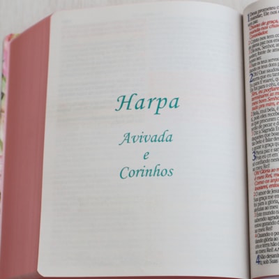 image_f62d5218-4f69-4709-9fd7-de4cc172e7f9