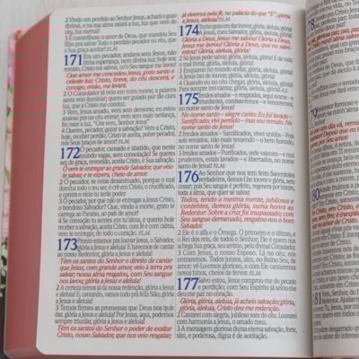 image_460ba47c-265c-435e-bea8-ab87e76c732f