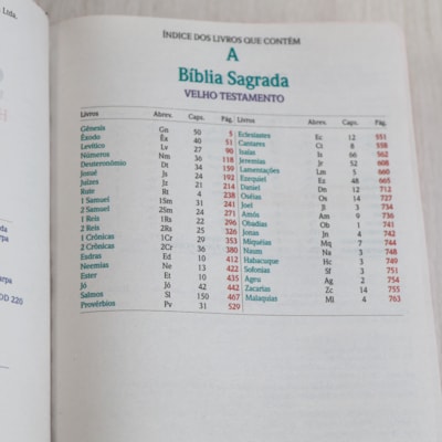 image_772729d3-8b98-4404-adad-82c034b30ac0