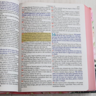 image_23618098-8831-493c-8e47-4bcd3afff0cb