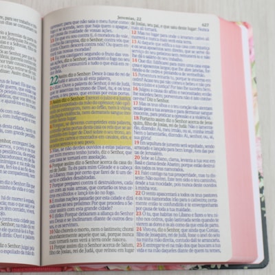 image_8d5e036a-d040-4270-9184-2e2c0811c3ee