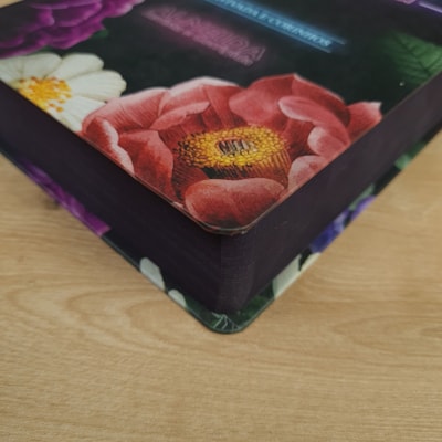 image_7192814b-4fd5-44d9-8ecb-aa57416a238e