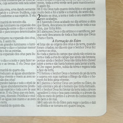 image_1667d136-5c08-4f8d-bf8d-ba5f960720d9