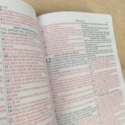 image_f849bbe7-425d-4425-a8ad-d53944e7214a