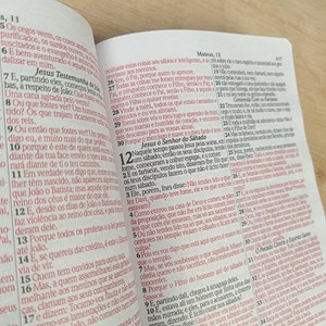 Bíblia Sagrada | ARC | Harpa Avivada e Corinhos | Letra Gigante | Capa Dura Floral Neon