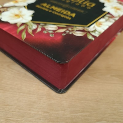 image_9bb62267-52de-4f0a-b825-df295752edb3