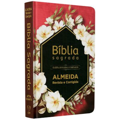 Imagem Principal - f91e255a-c964-4a3a-8017-9e1dc65ffff9