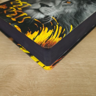 image_a024cb48-db1f-4e9f-83df-c30b4d54773d