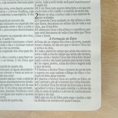 image_3205d7c6-9586-4d95-9347-7e096dba744d