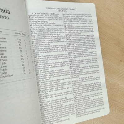 image_f79ea122-cfc8-491a-8bec-779f935a3a78