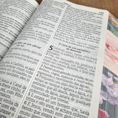 image_6b64dfec-8ad8-4e3b-98ca-b6efb45234fc