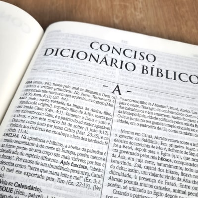 image_dd6eb09d-ae94-454b-9d58-fea68f23e9e9