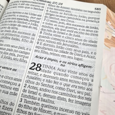 image_caf292d8-3535-4e16-a6ee-6f7c43ded769