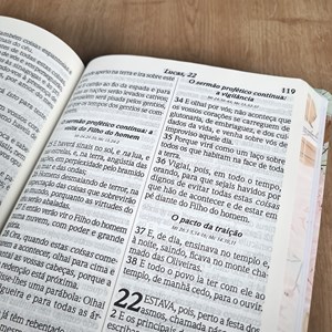 Bíblia Sagrada | ARC | Letra Extra Gigante | Capa Flexível Soft Touch Rosa Poema