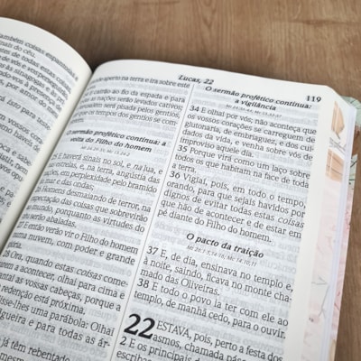 image_20395969-43a0-4ac1-8292-0e9ab206734a