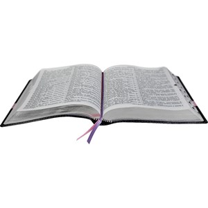 Bíblia Sagrada | ARC | Letra Extragigante | Capa Preta com Rosa C/ Índice