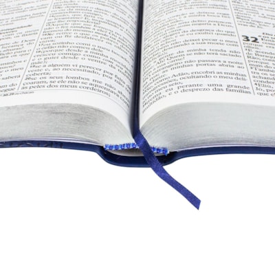 image_530456b5-5ec2-4a7b-8da2-8fc9ef68bc65