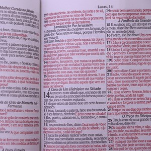Bíblia Sagrada | ARC | Letra Gigante | C/ Harpa e Corinhos | Capa Dura Ele Vive