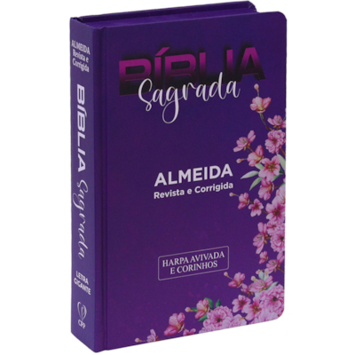 image_945bf6ec-06a0-4b0b-9084-175f0ee61f8c