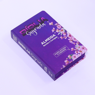 image_1bccc6af-3cb6-4760-8319-e7dce04826ec