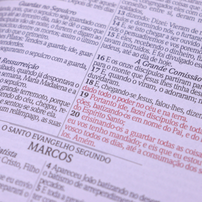 image_19ac4b3a-430e-4fbe-937c-94bb51de4bfa