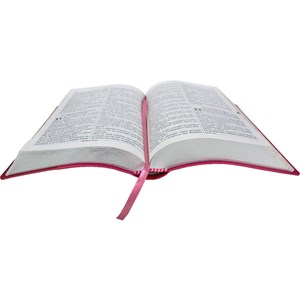 Bíblia Sagrada | ARC | Letra Gigante | Capa Pink C/ Índice