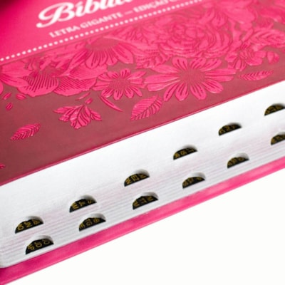 image_23e94cbd-cedc-4483-a83a-0f9395345181