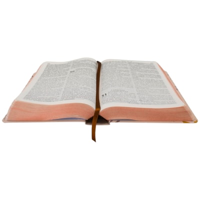 image_d2123273-13f2-41d5-a680-9e1b530d9e12