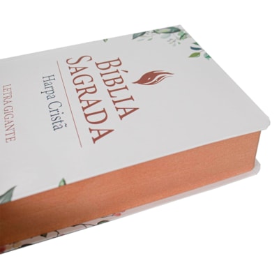 image_bfabdeb9-cdd0-4208-9261-e6bc565acff6